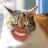 CatCatCat